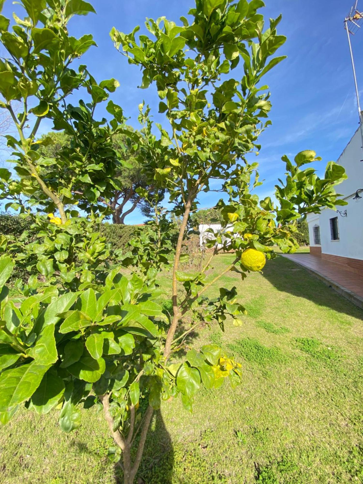 Villa Lua Cartaya Esterno foto